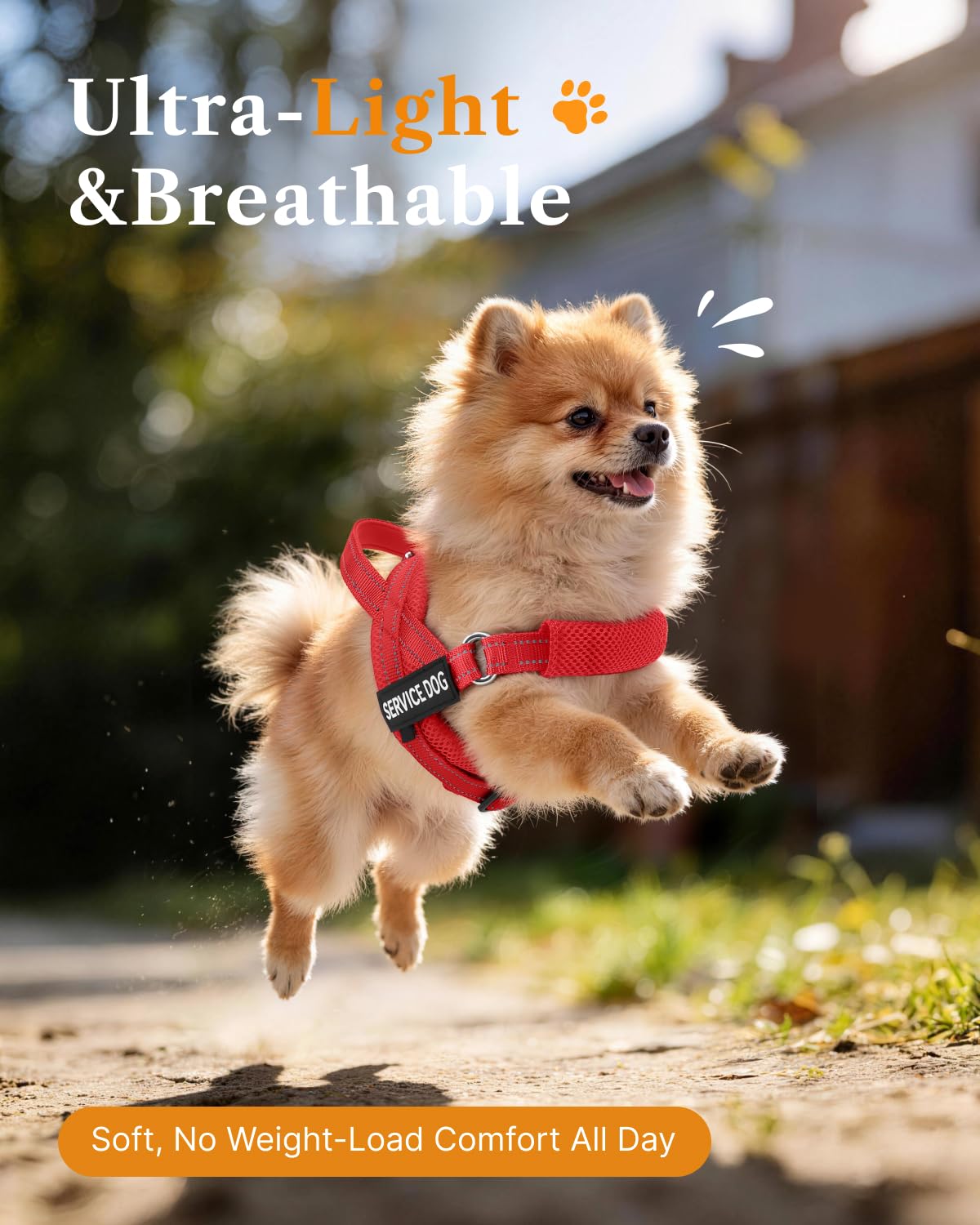 FAYOGOO vest front-clip no-pull design guiding dogs without discomfort