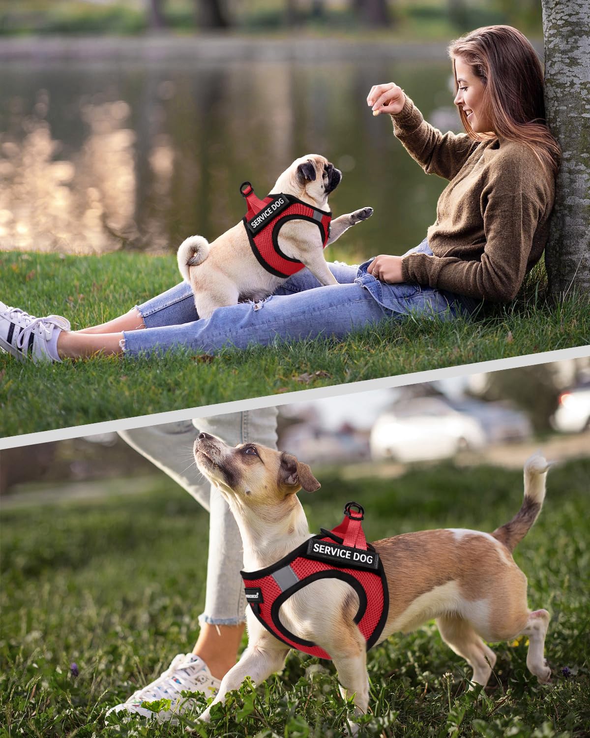 FAYOGOO reflective straps enhance night visibility for walks