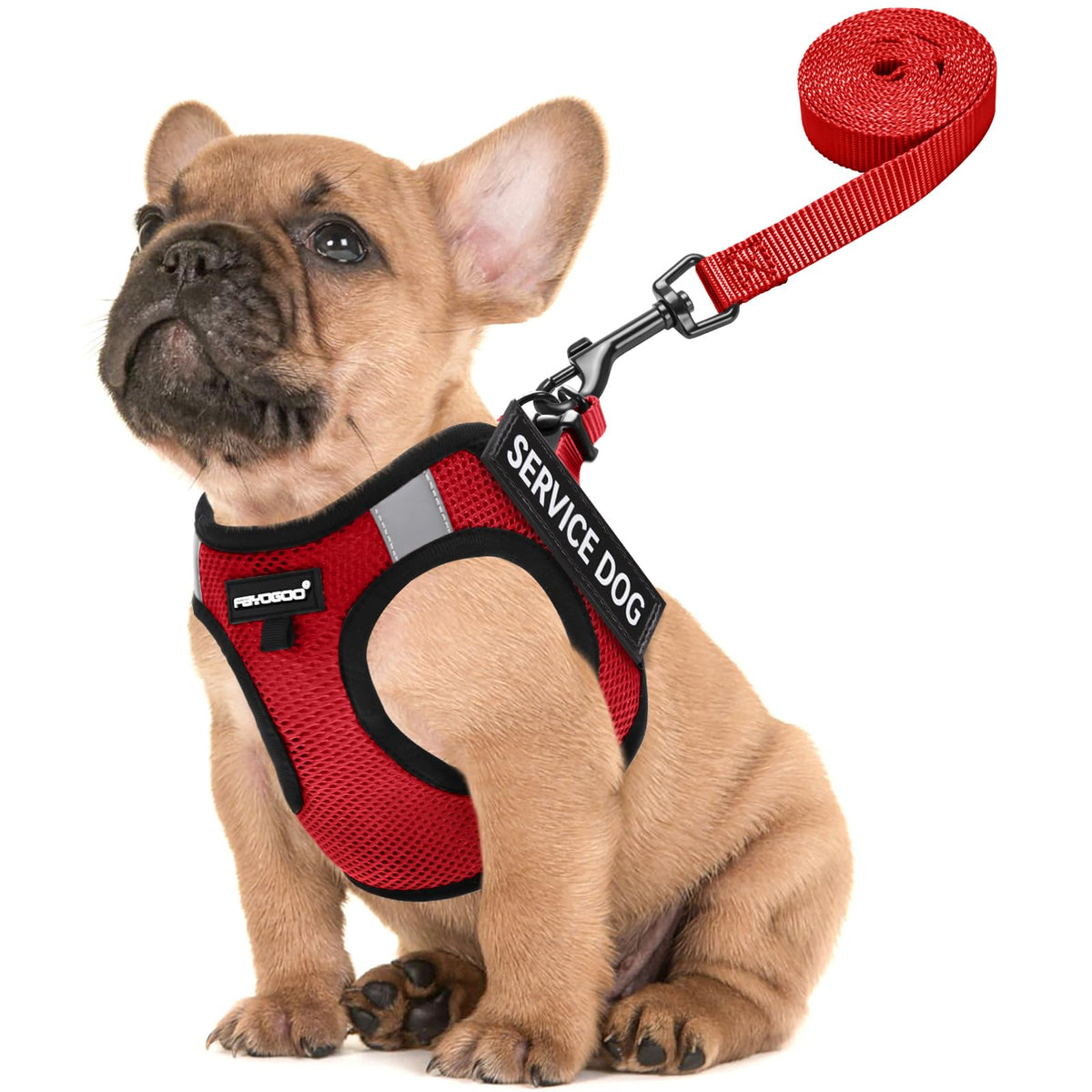 FAYOGOO service vest for small dogs, front view, lightweight breathable design for walks.