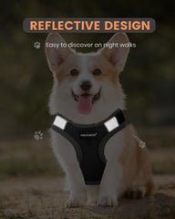 FAYOGOO vest with reflective straps for safer night walking