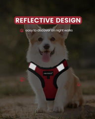FAYOGOO step-in design makes putting the vest on quick