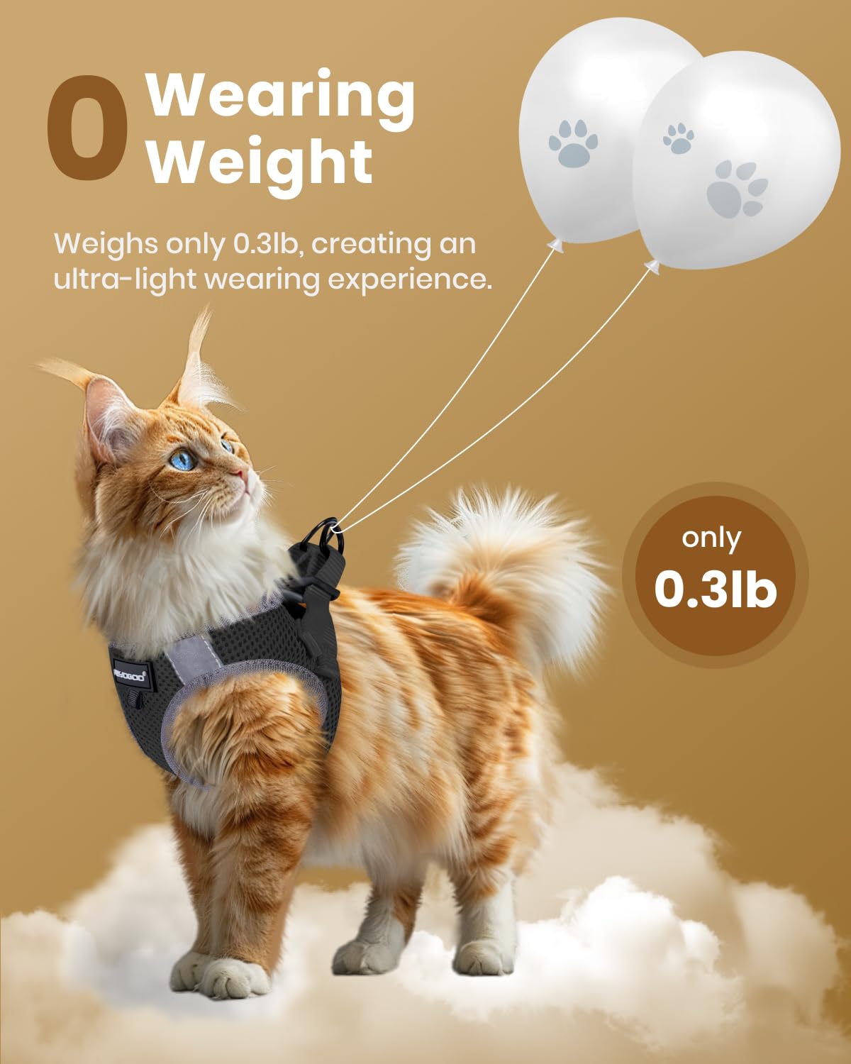 Soft padding edge on FAYOGOO harness supports all-day comfort.
