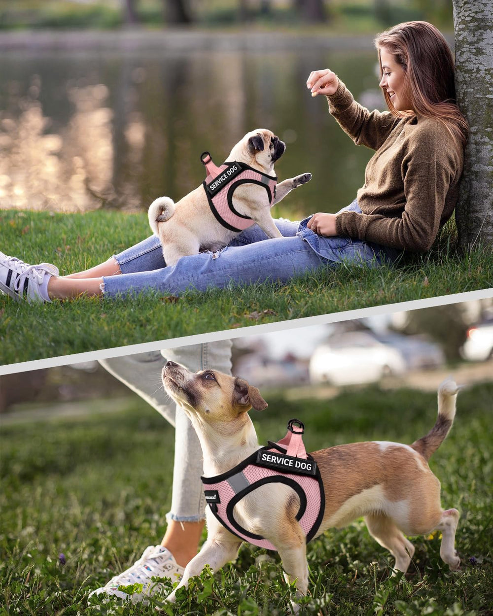 FAYOGOO XS-L dog vest with sizing chart for best fit.