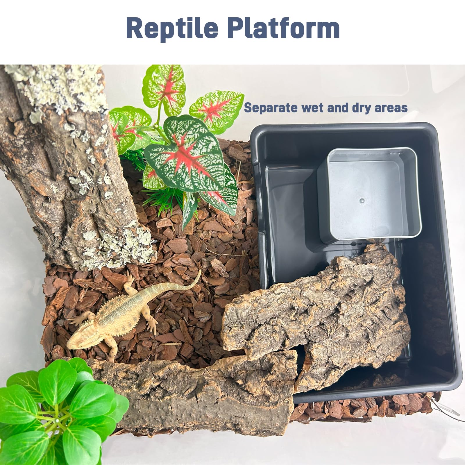 FCALIVV easy-clean surface simplifies terrarium maintenance