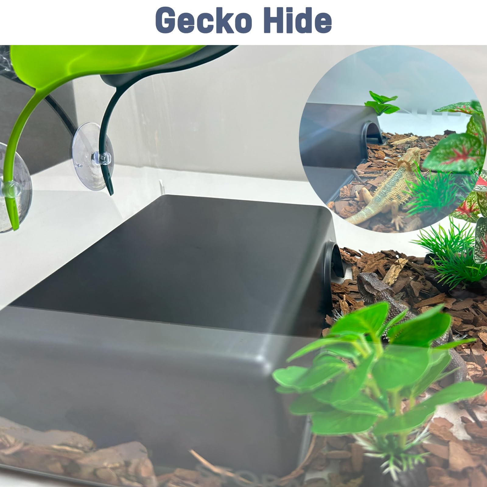 FCALIVV leopard gecko hide cave blends with terrarium décor.