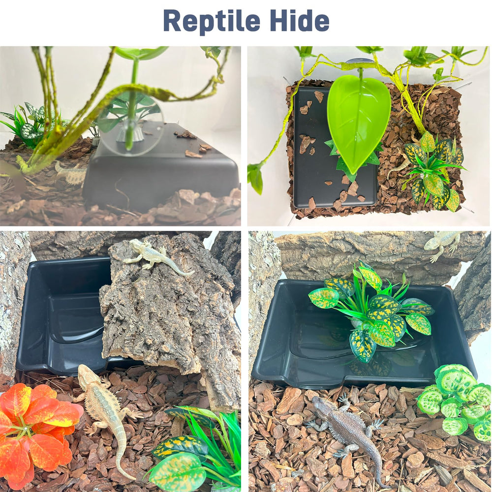 FCALIVV multi-species habitat serves as dry hide and basking cave