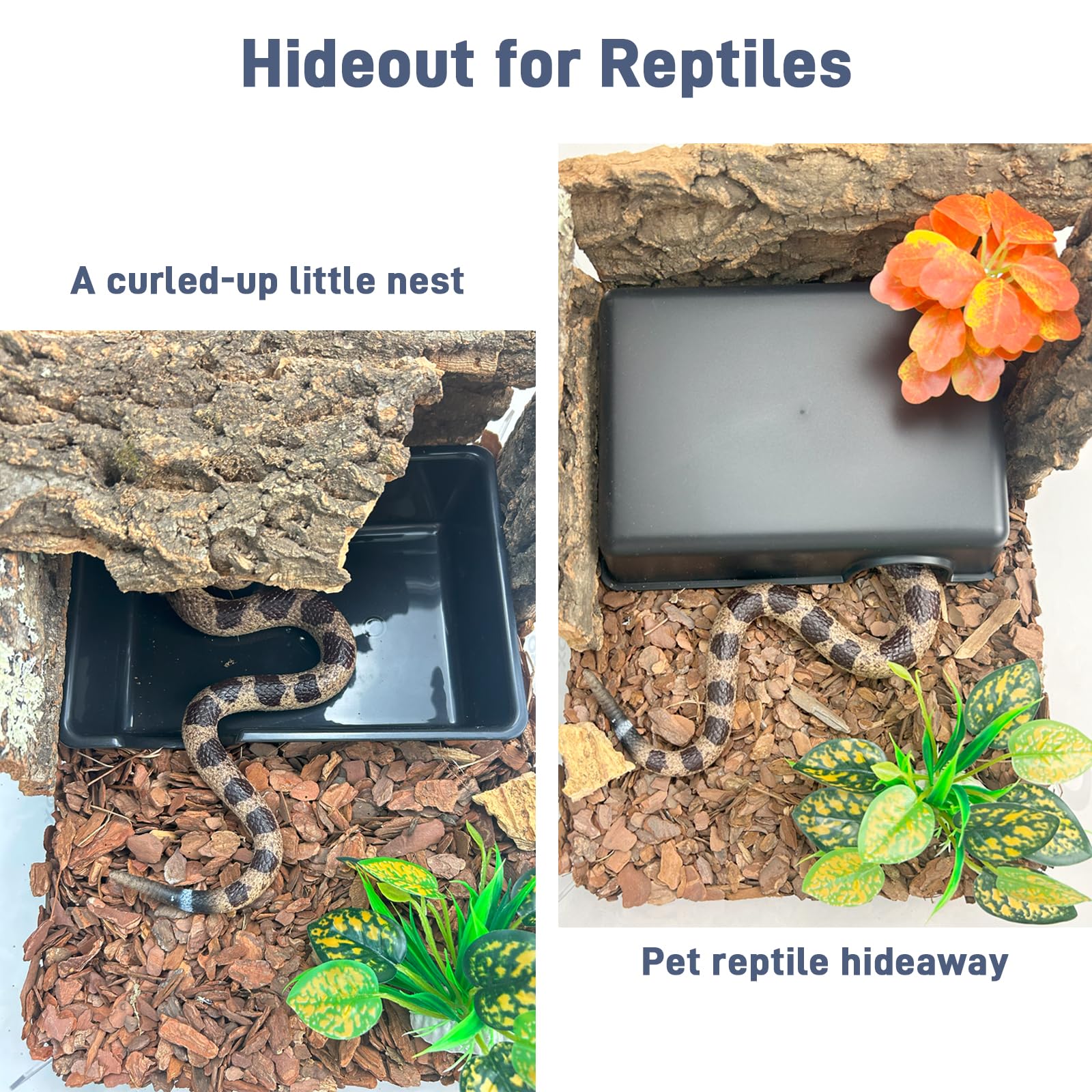 FCALIVV natural rock-textured cave blends with bioactive terrariums