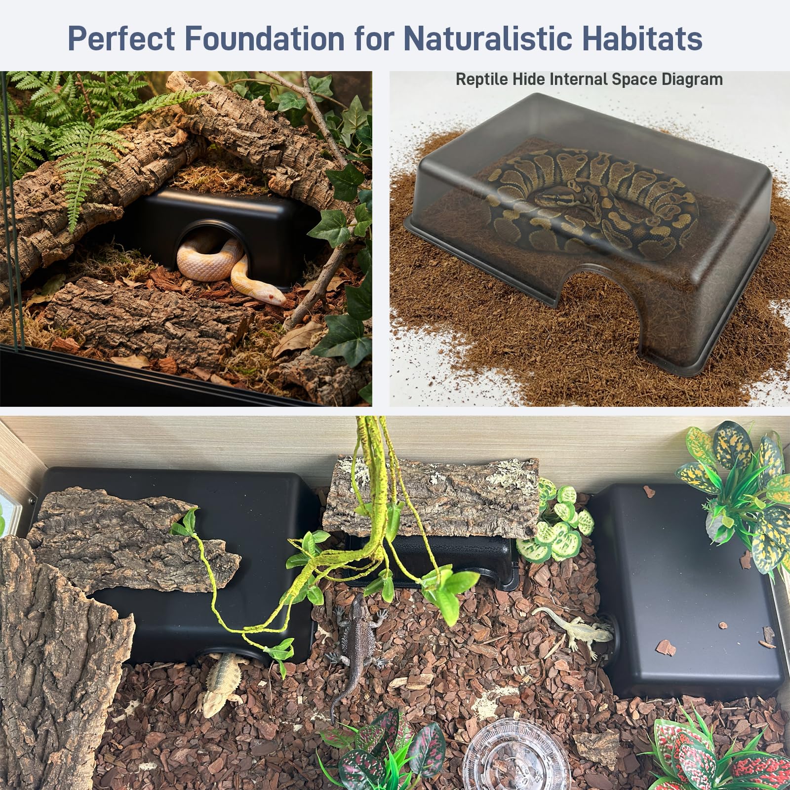 FCALIVV reptile hide smooth edges provide safe, snag-free entry.