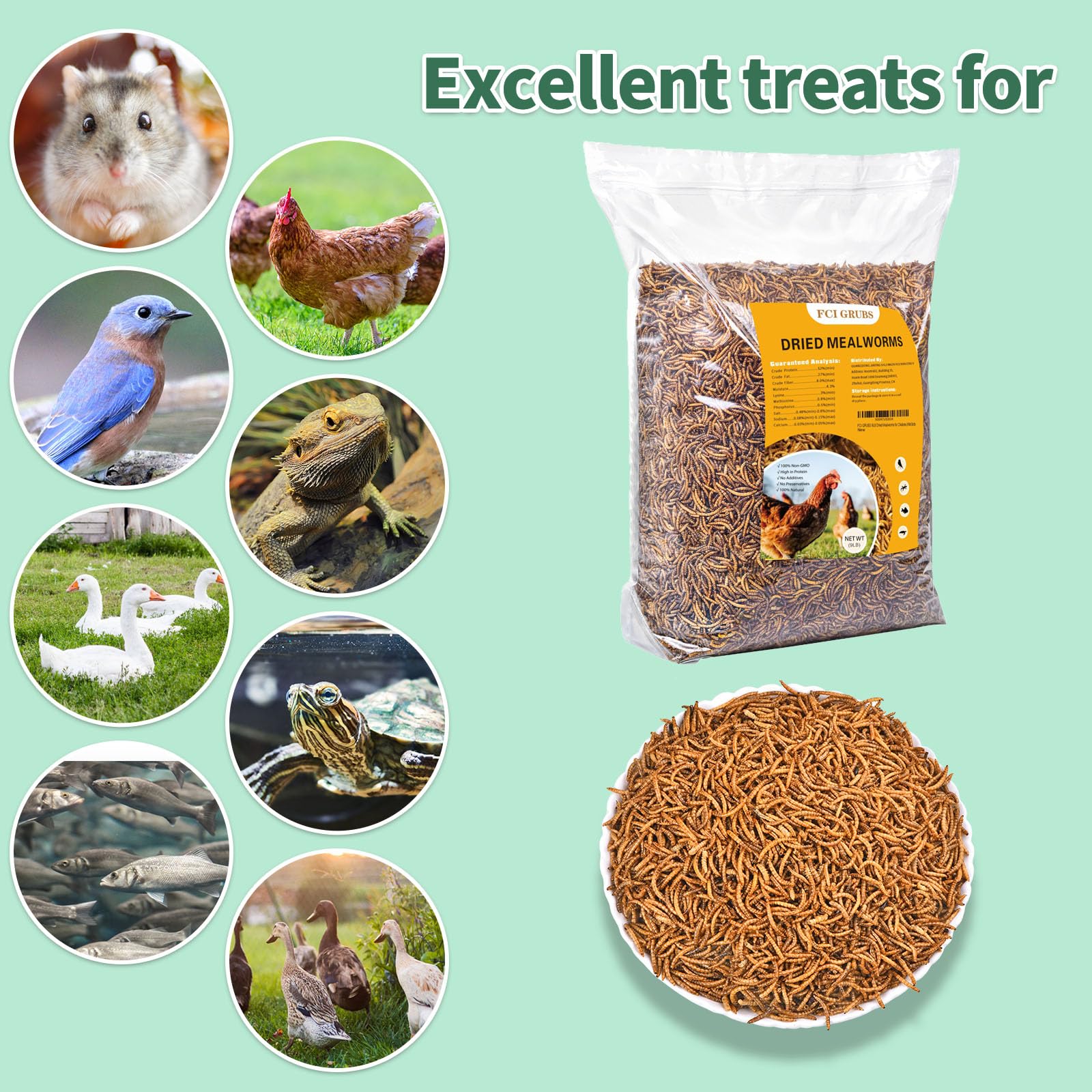 Bluebirds and poultry thrive with FCI Grubs mealworms protein boost