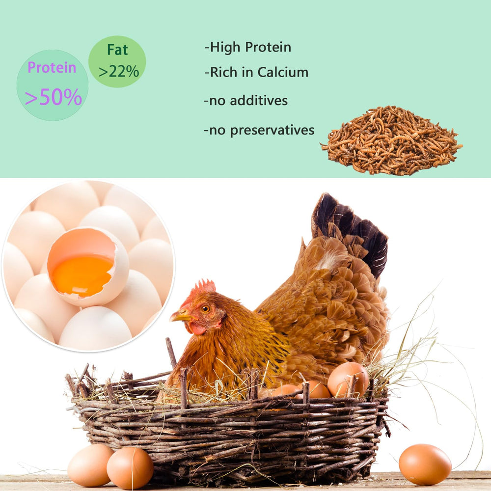 FCI Grubs protein-rich mealworms for birds and small pets
