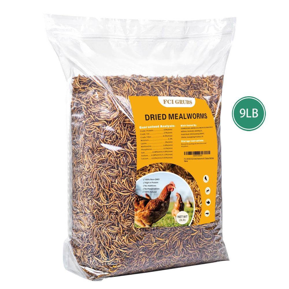 FCI GRUBS protein-rich mealworms boost chicken feed quality.