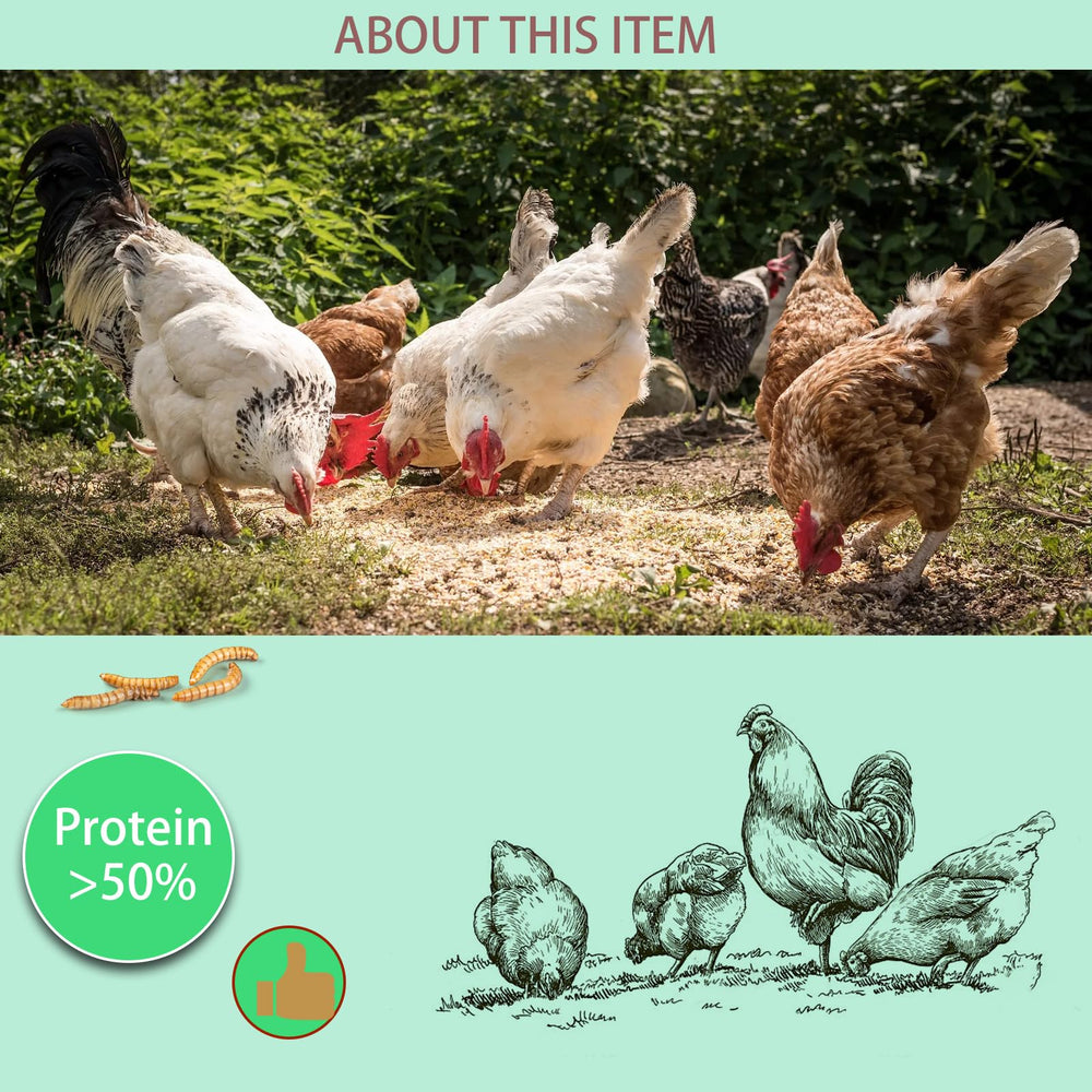 FCI GRUBS organic non-GMO dried mealworms for natural treats.