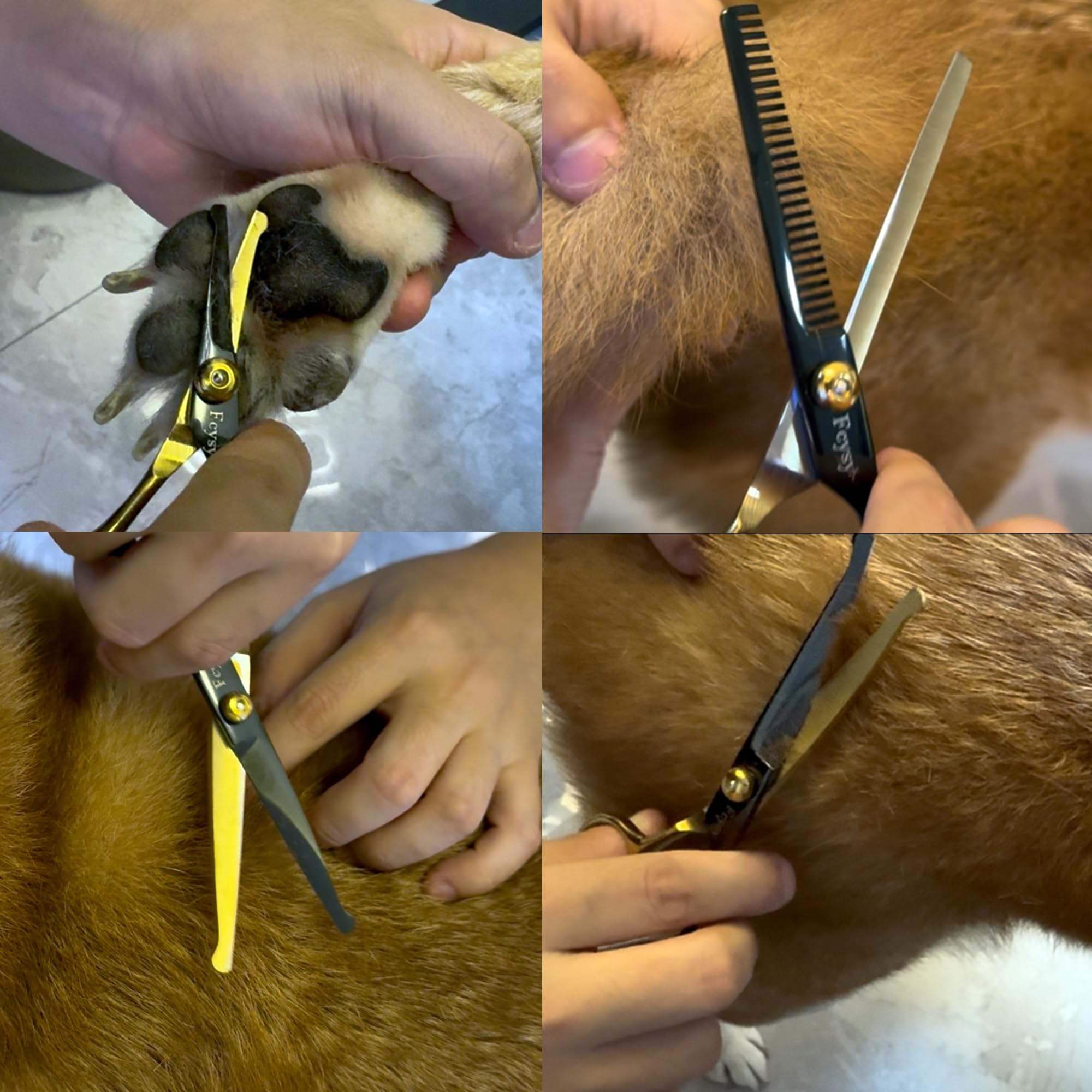 Fcysy organized grooming case opened to reveal tools