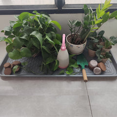 FDGARDEN multiuse tray holds plants, pet bowls, and paint tins.