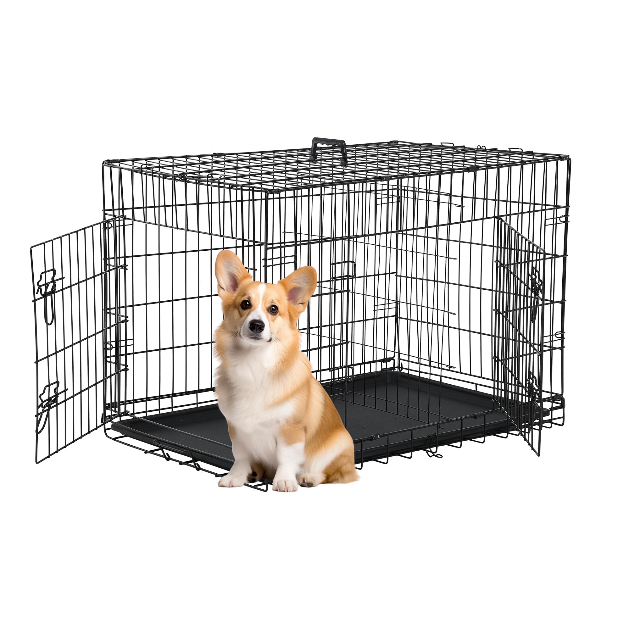 FDW 30-inch dog crate front view, showcasing safe containment and airflow