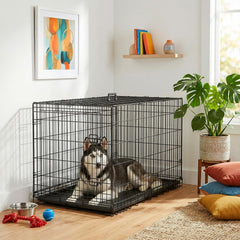 FDW 42-inch dog crate folded flat for easy storage during travel.