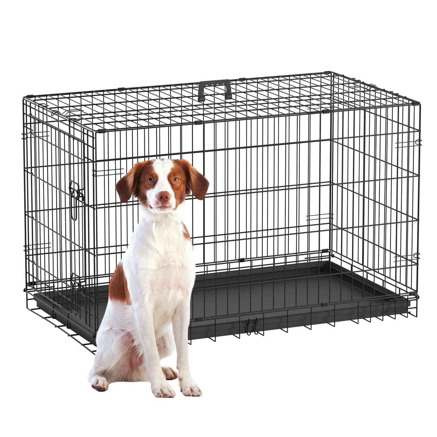 FDW 42-inch dog crate with front door open, showcasing secure space for large dogs.
