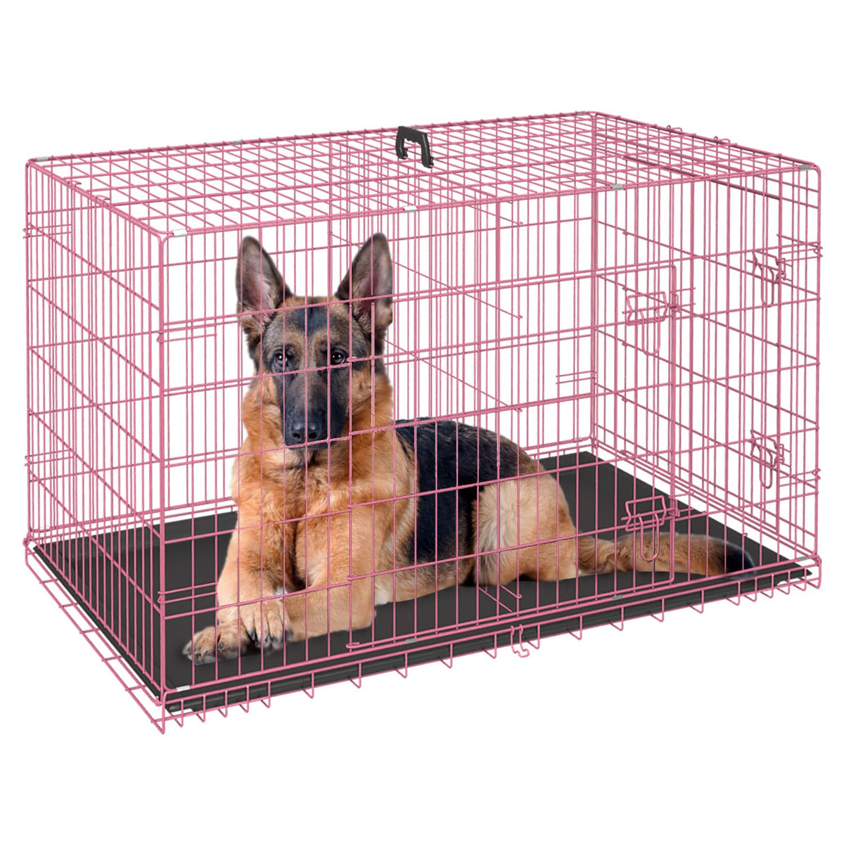FDW 48 inch dog crate with front doors for easy access and secure containment