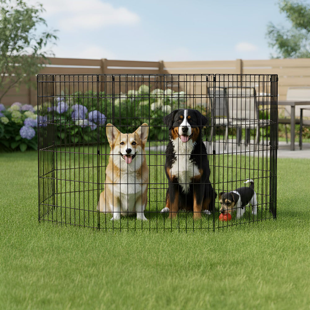 FDW 8-panel configurations provide versatile shape options for your pet