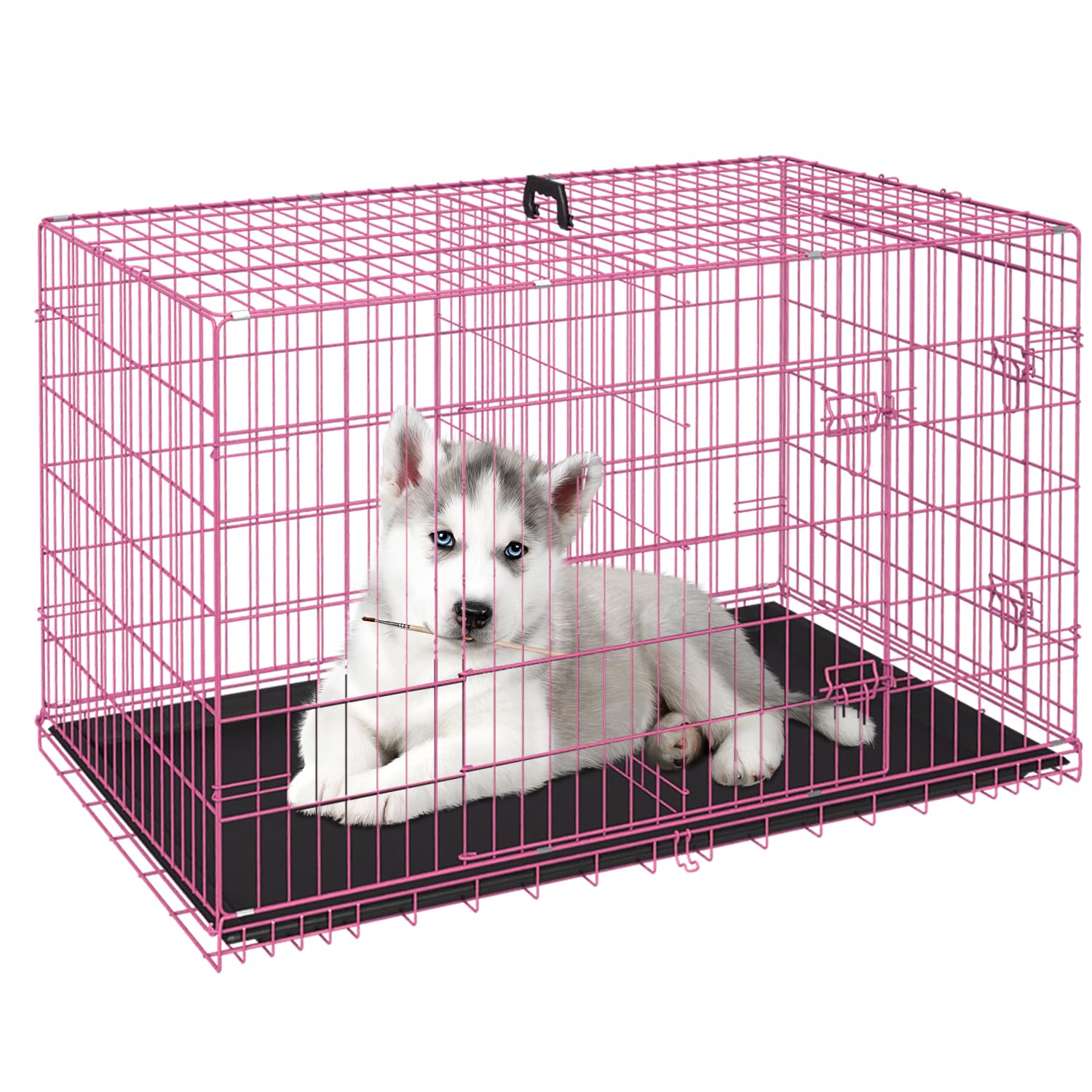 FDW 24in dog crate front door view showing secure double doors for small pets.