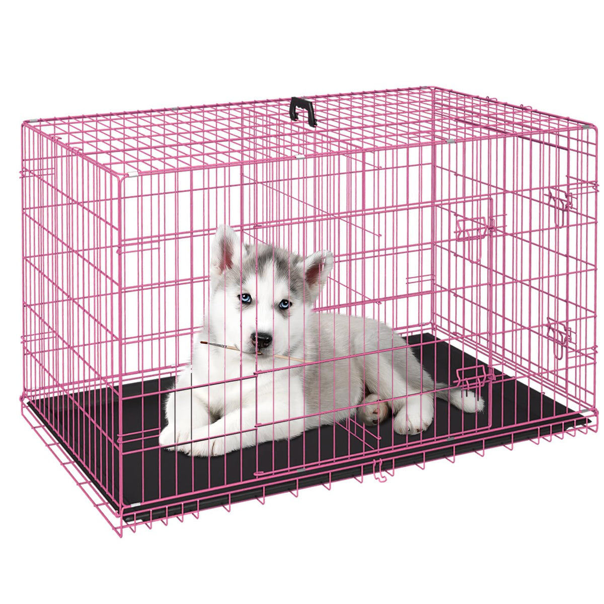 FDW 24in dog crate front door view showing secure double doors for small pets.