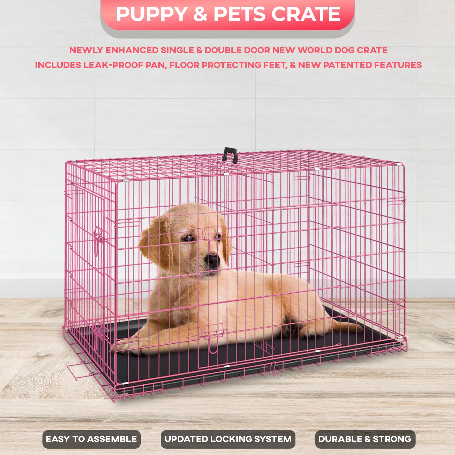 FDW 24in dog crate removable tray for easy cleaning and containment.