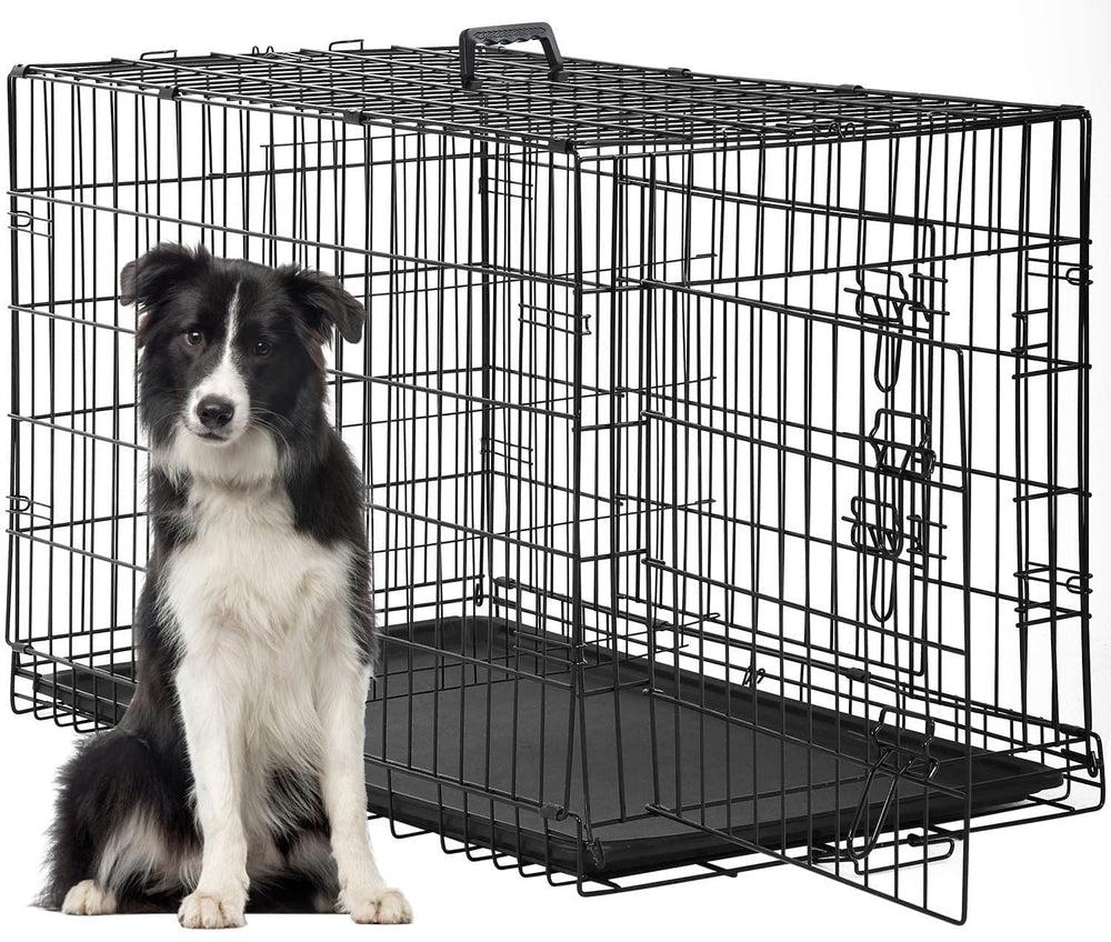 FDW 48-inch dog crate front view with dual doors for easy access and safety.