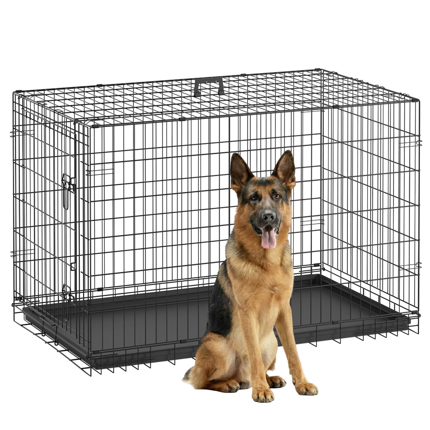 FDW dog crate 48-inch with dual doors for easy access and secure confinement.