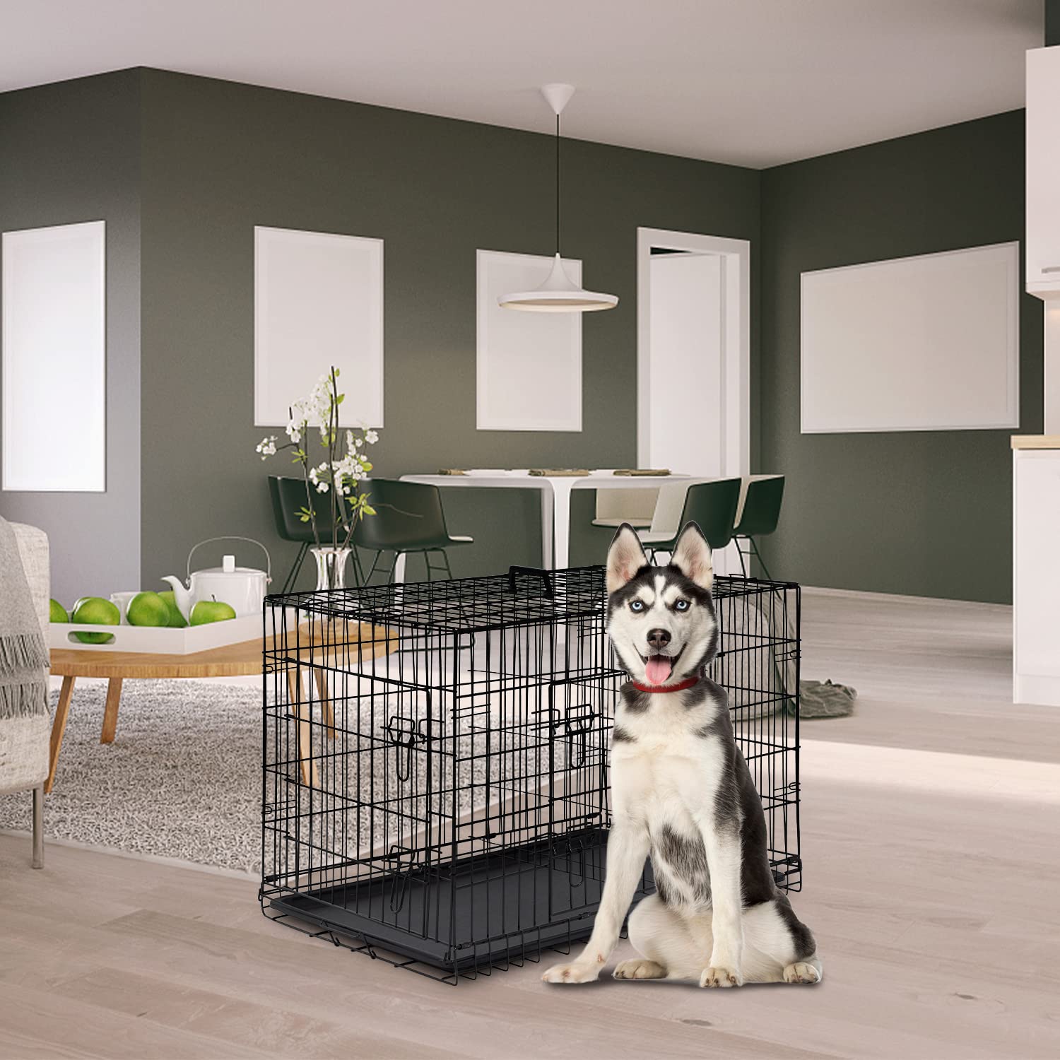 FDW dog crate front door layout showing double doors for easy access.