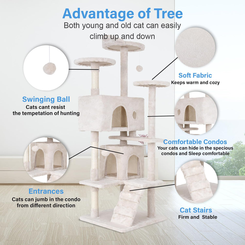 FDW plush perches and condos offering cozy hideaways for naps.