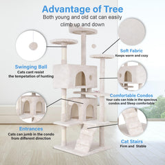 FDW plush perches and condos offering cozy hideaways for naps.
