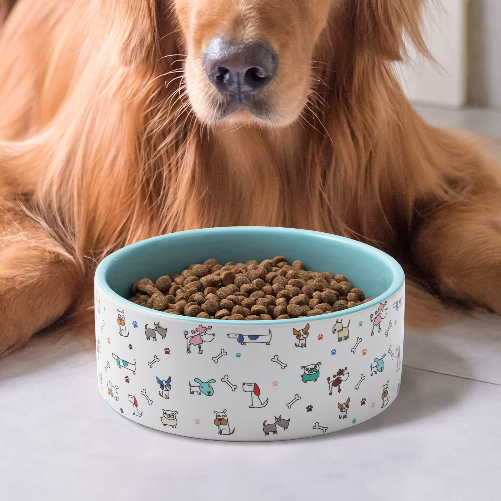Heavy-duty ceramic FE FUN ELEMENTS dog bowl built for daily use.