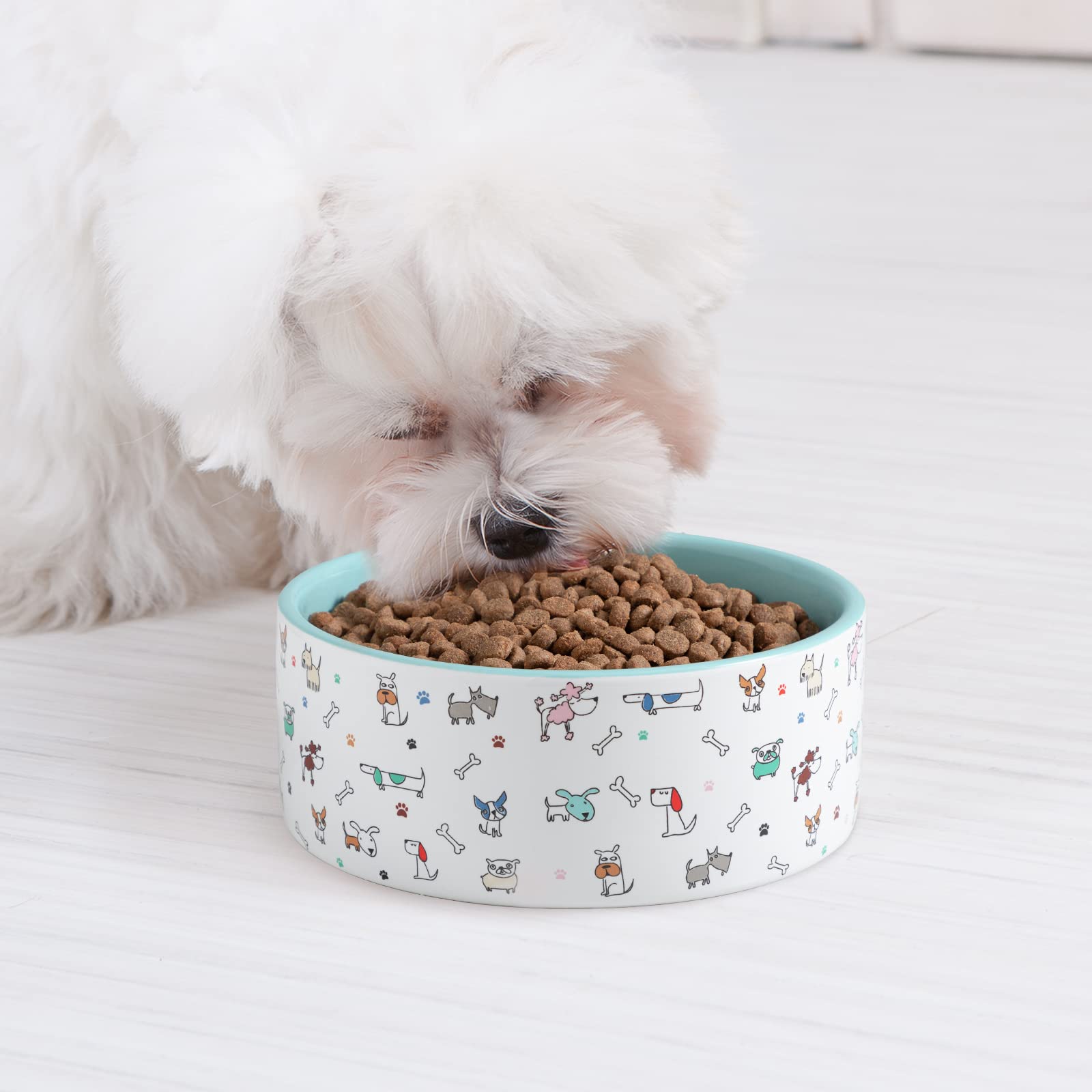 Microwave-friendly FE FUN ELEMENTS dog bowl for reheating meals safely.