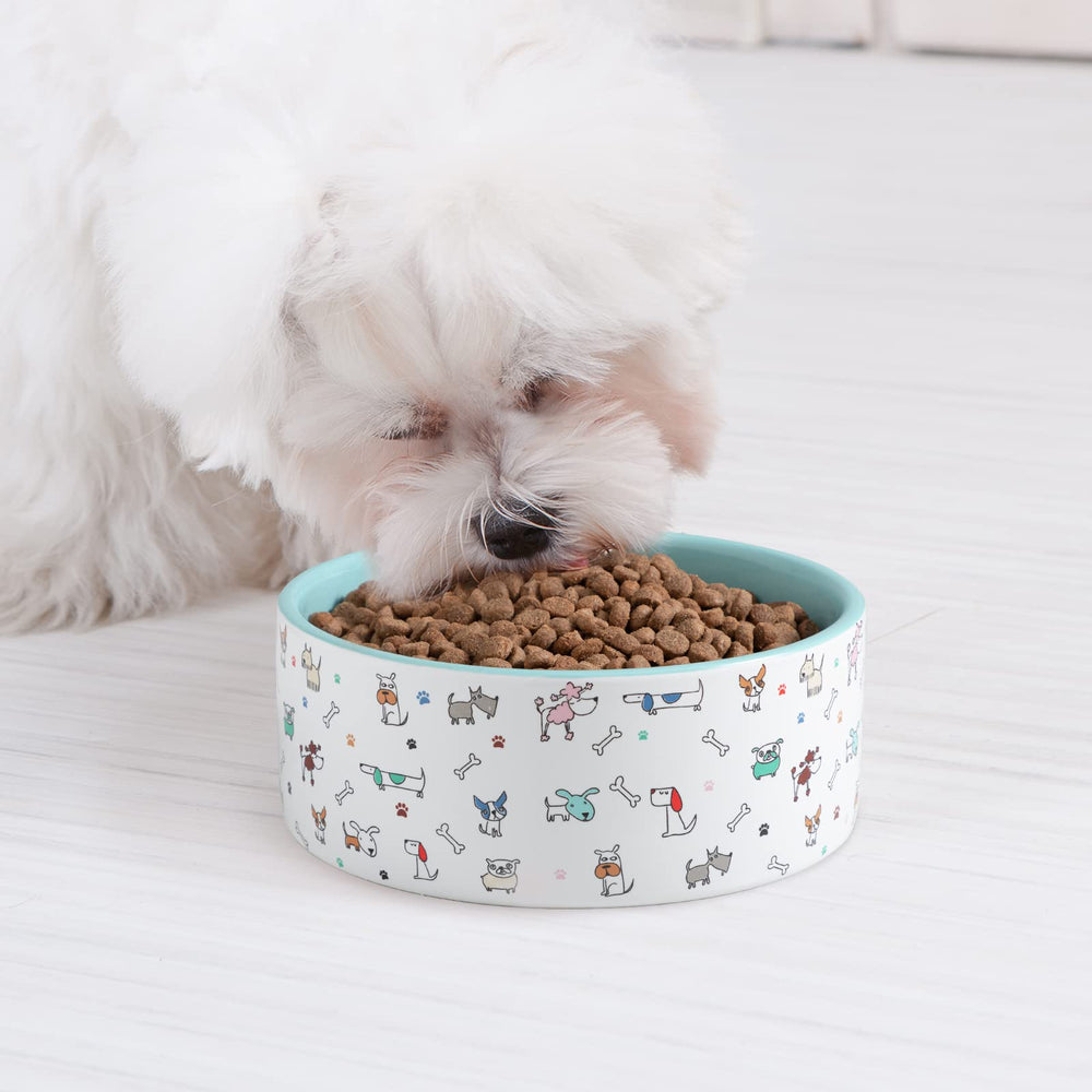 Microwave-friendly FE FUN ELEMENTS dog bowl for reheating meals safely.