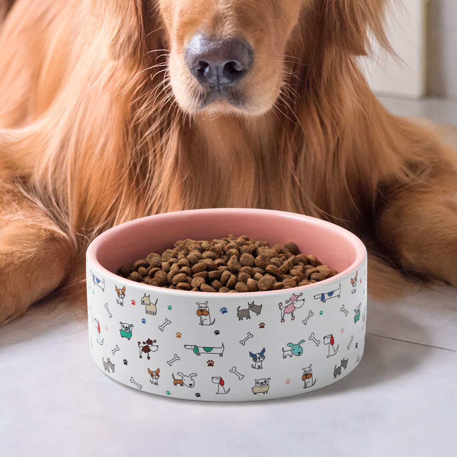 FE FUN ELEMENTS microwave-safe dog food bowl for quick warming