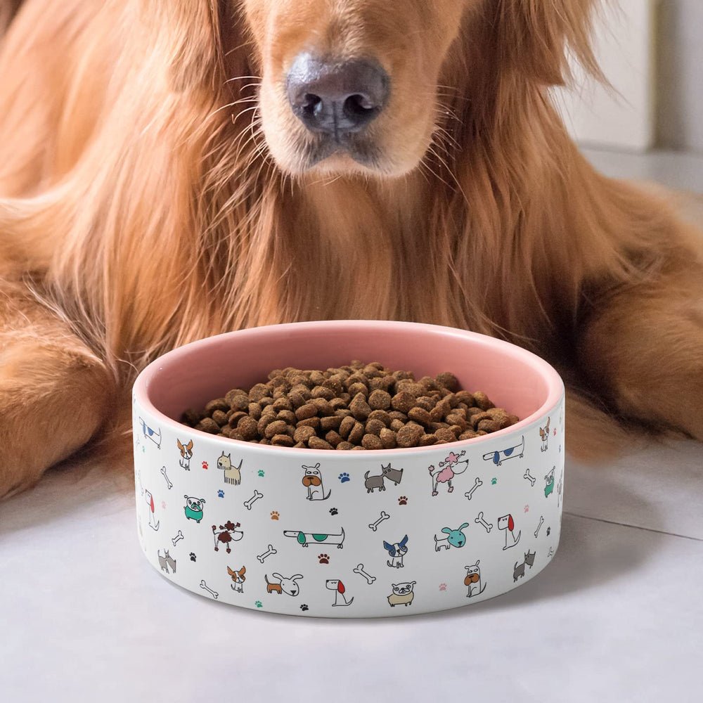 FE FUN ELEMENTS microwave-safe dog food bowl for quick warming