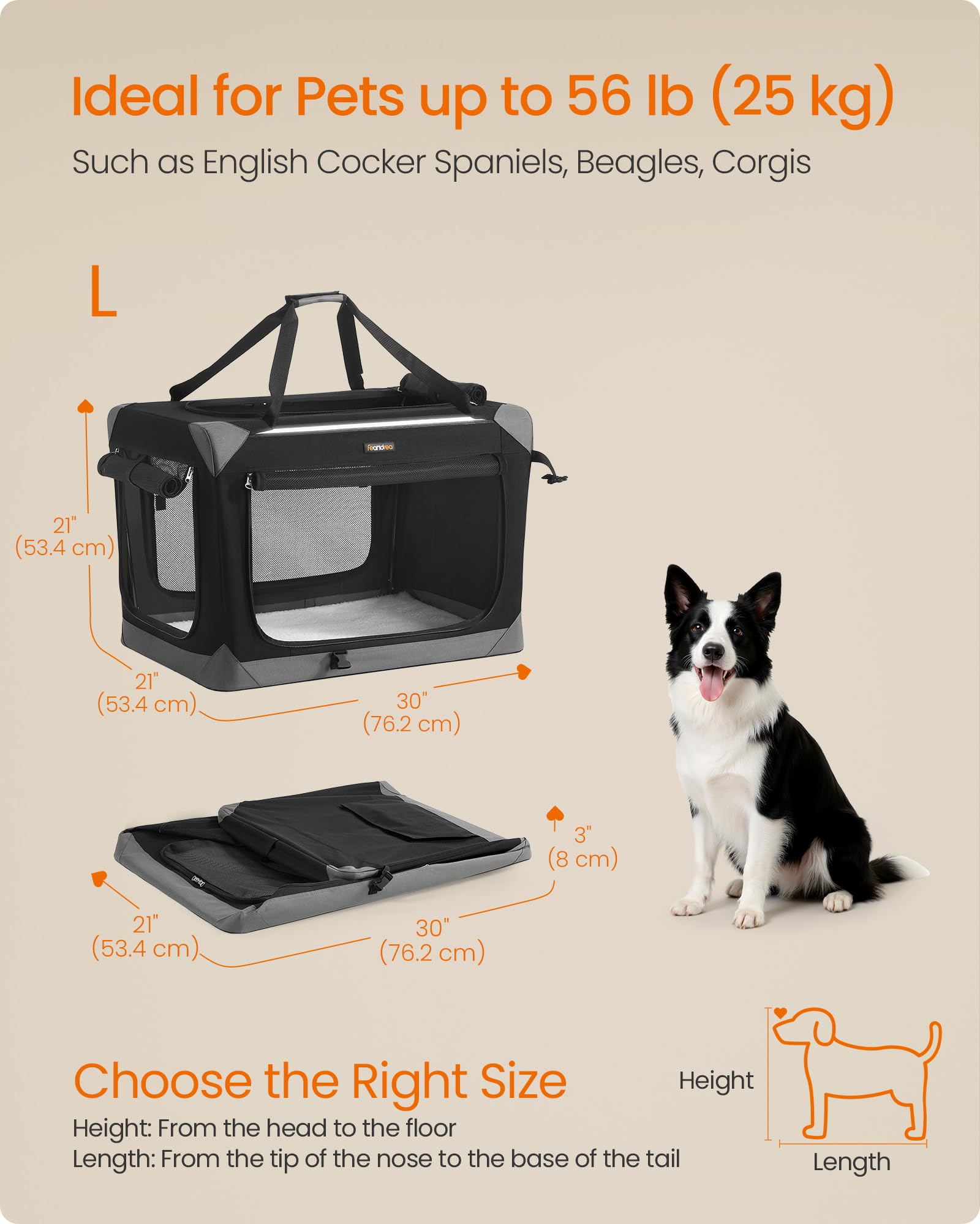 Feandrea 30-inch dog crate showing size and room for a medium dog up to 56 lb.