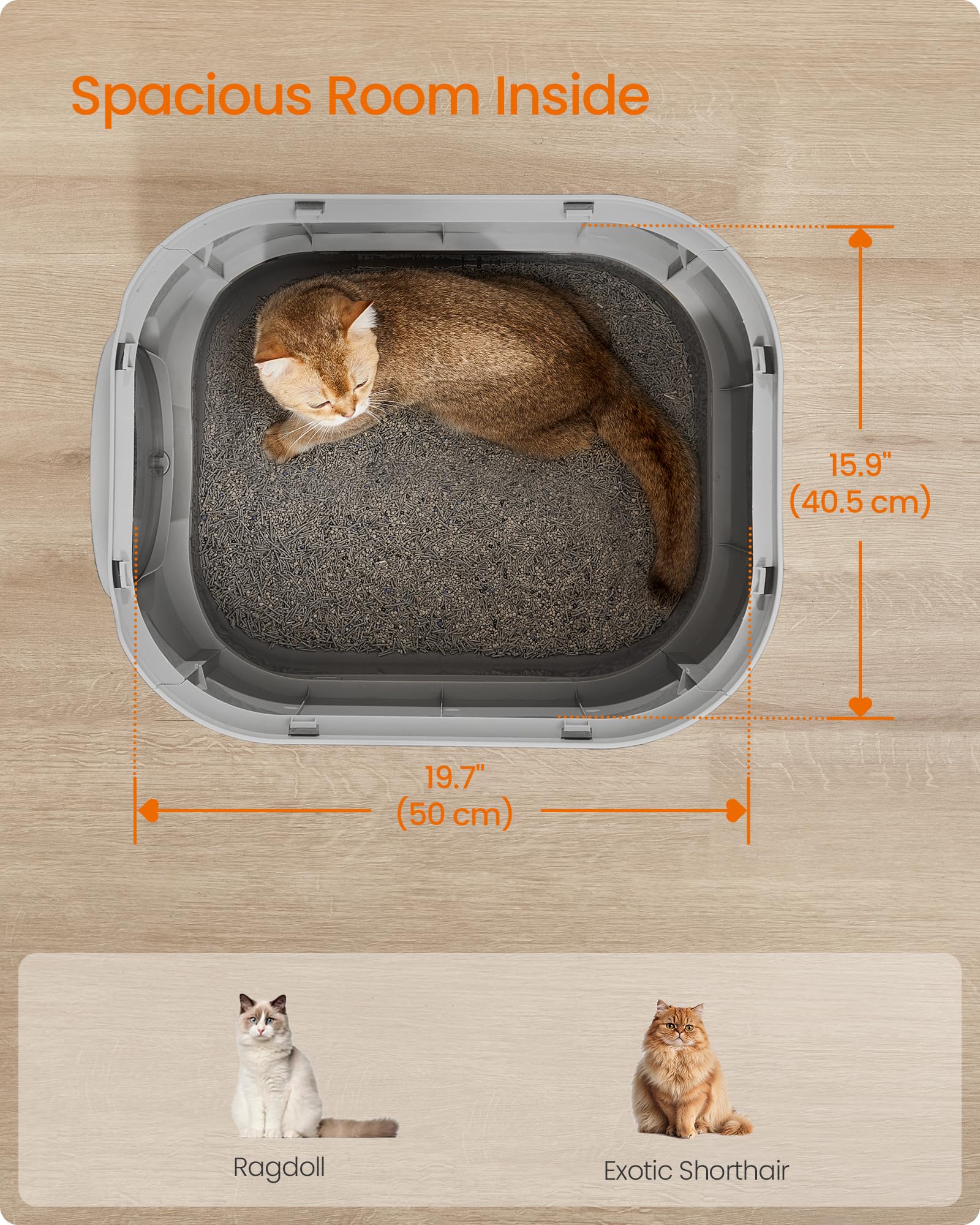 Feandrea top grate reduces litter tracking as cats exit