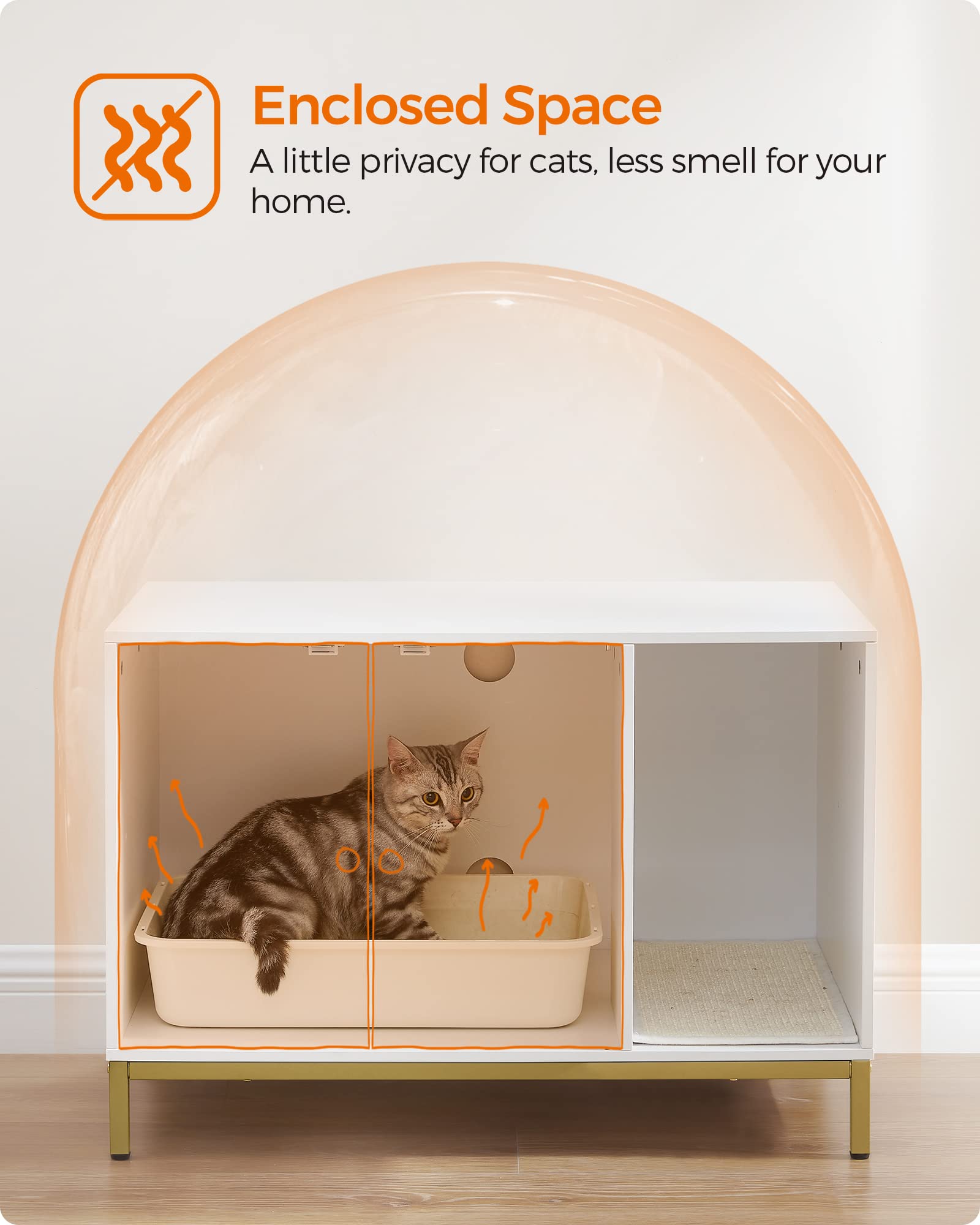 Feandrea enclosure includes a scratch pad at the entry to trap litter.