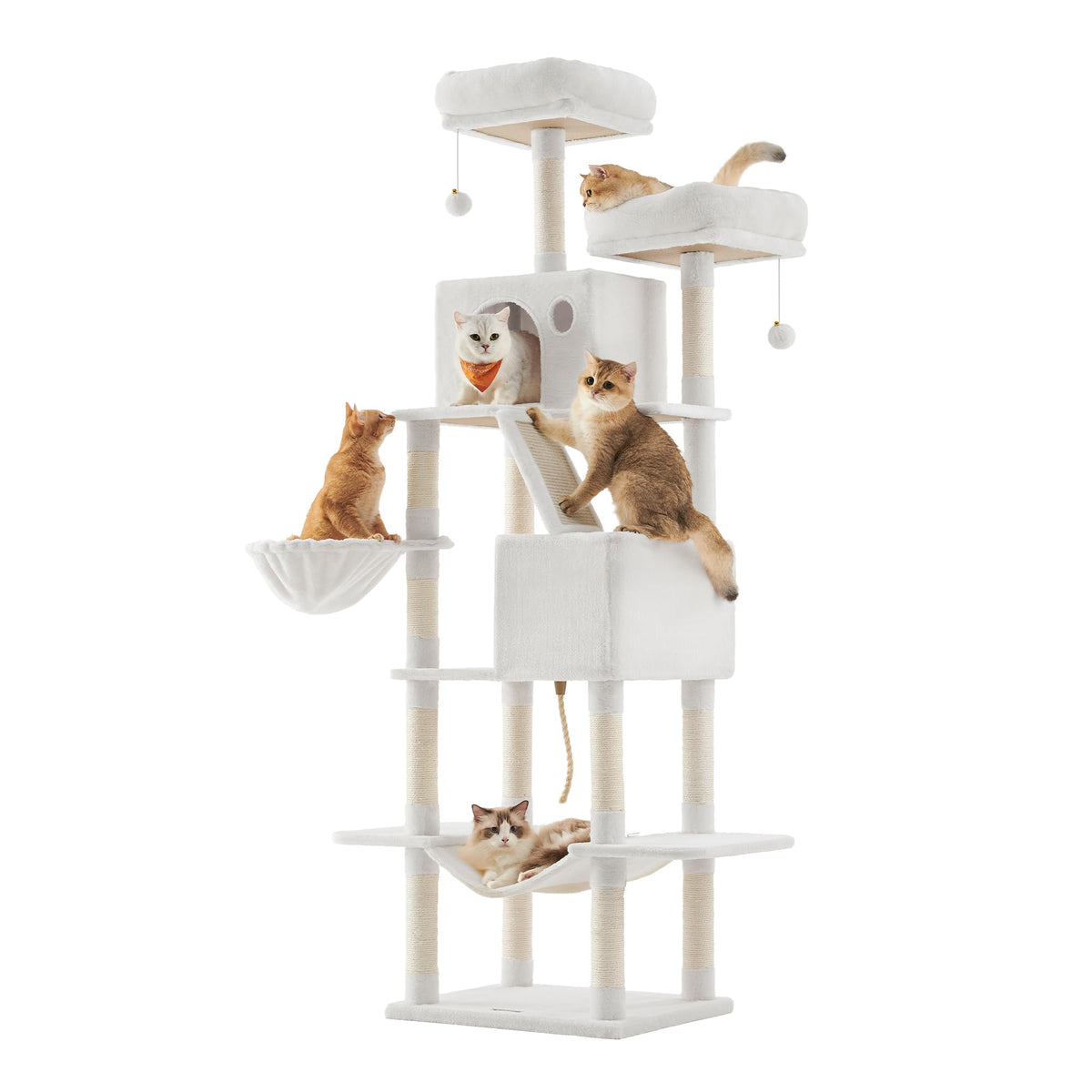 Feandrea cat tree 81-inch tall, offering height for climbing and lookout.