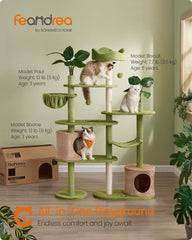 Feandrea cat tree basket offers a cozy retreat at the summit