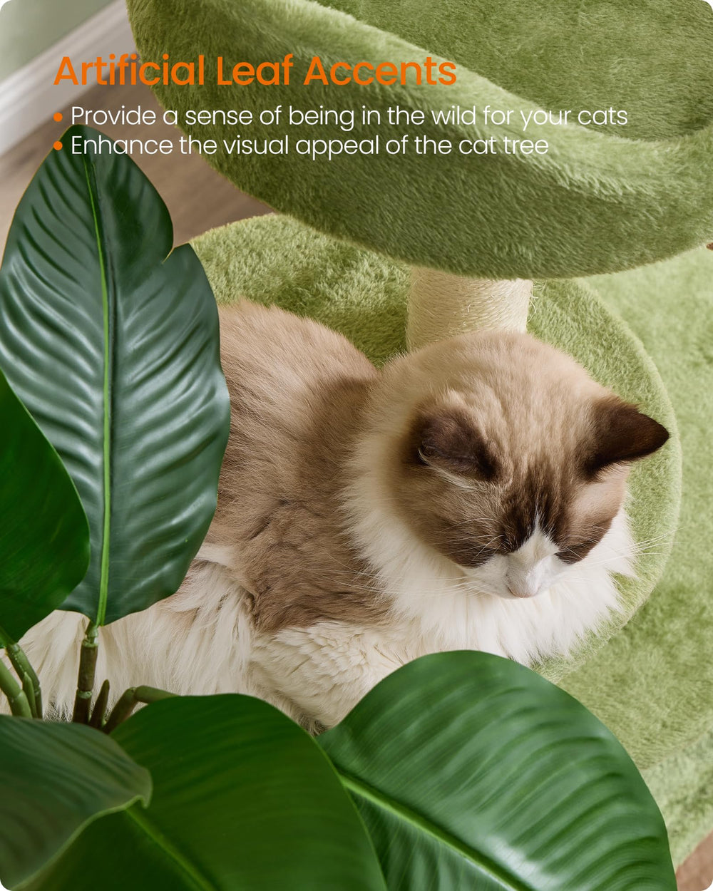 Feandrea cat tree hammock creates a relaxing mid level resting spot