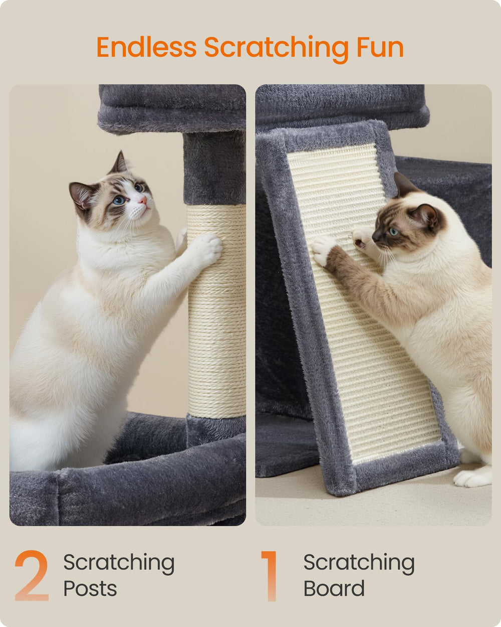 Feandrea Cat Tree platform ladder encourages climbing for curious cats