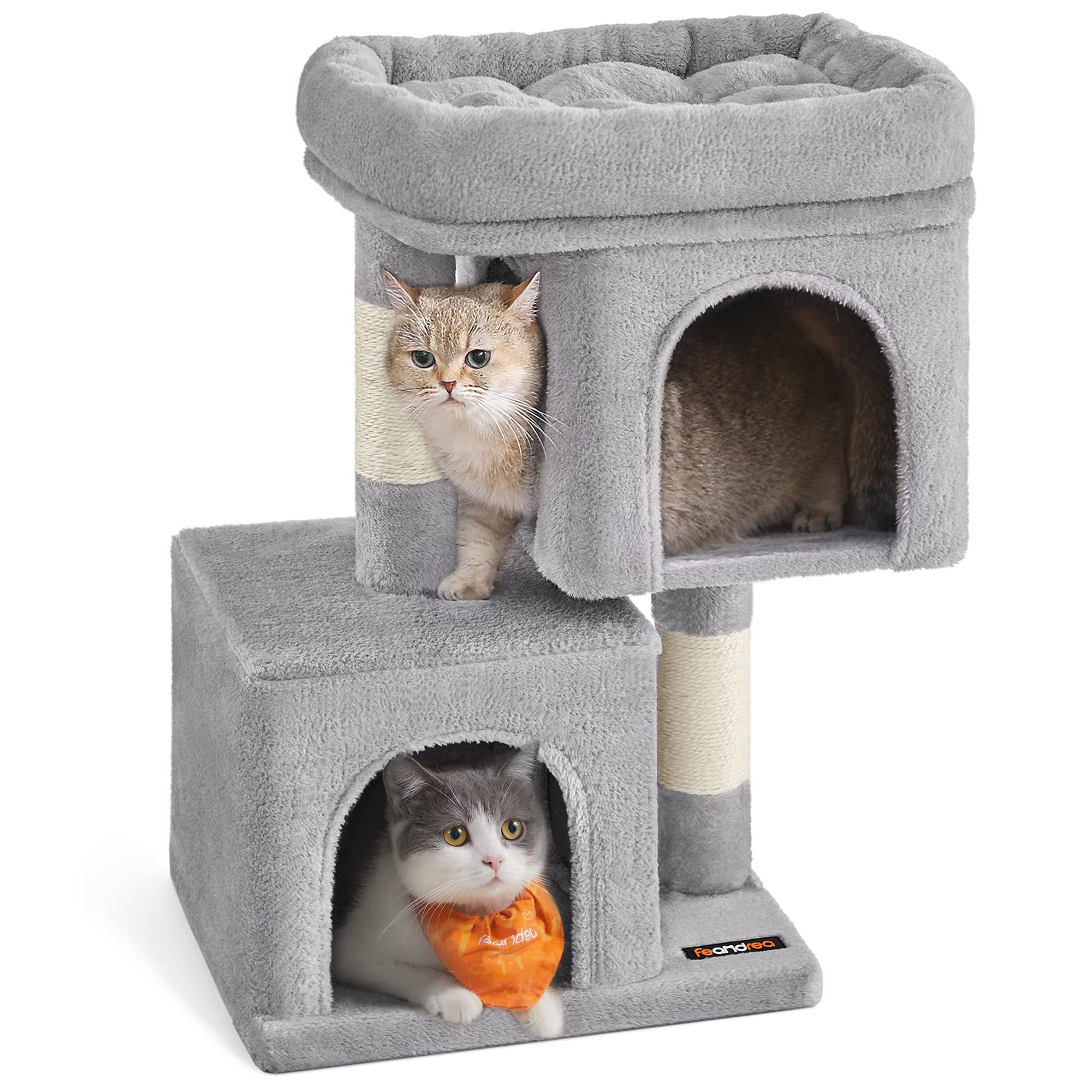 Feandrea cat tree large perch provides roomy lounging space for kittens.