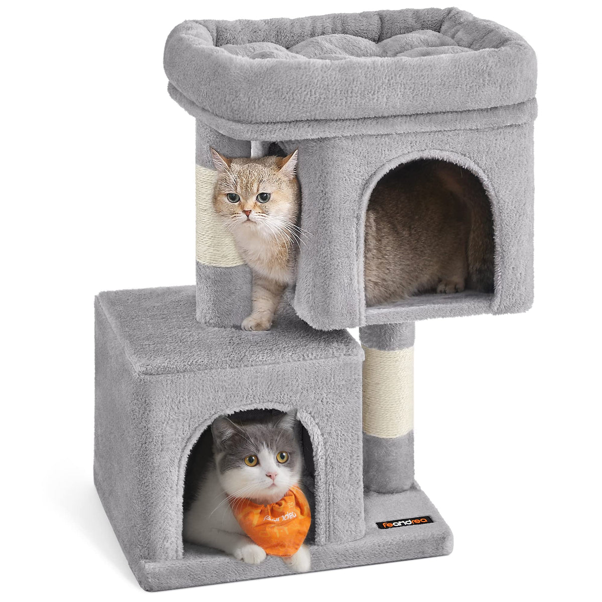 Feandrea cat tree large perch provides roomy lounging space for kittens.
