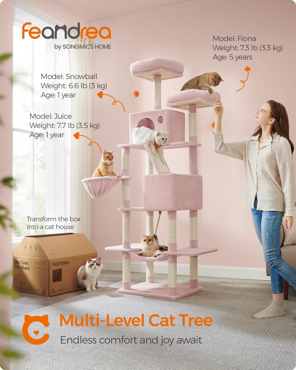 Feandrea multi-level playground with perches and caves for multiple cats.