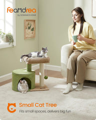 Feandrea cat tree plush perch offers cozy rest after play sessions.
