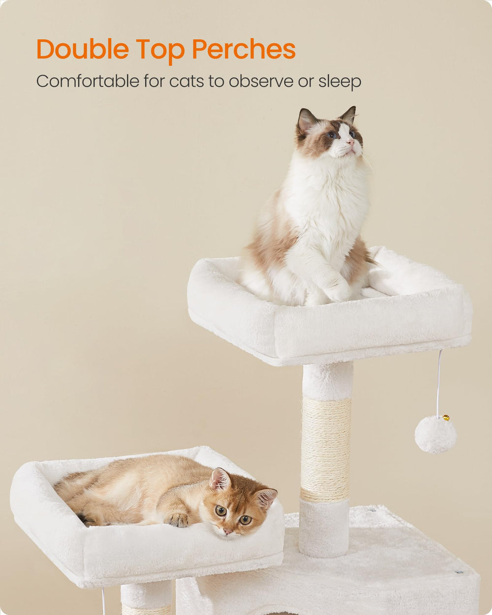 Feandrea Cat Tree spacious cave invites retreat and privacy.