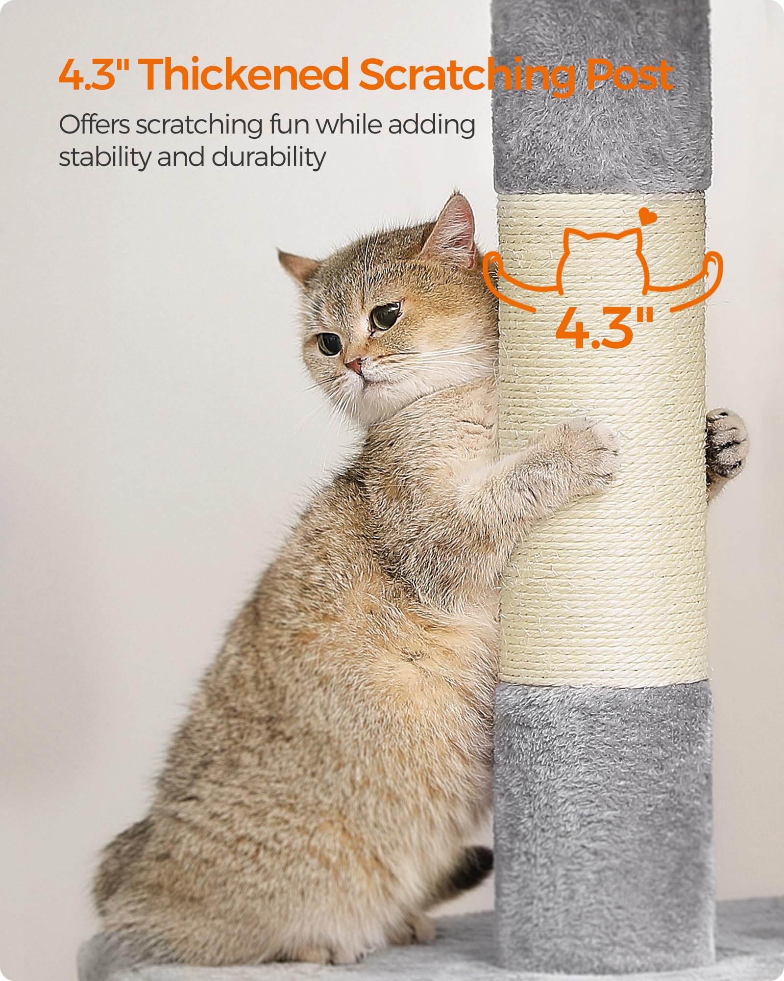 Feandrea cat tree top perch for birds-eye watching.
