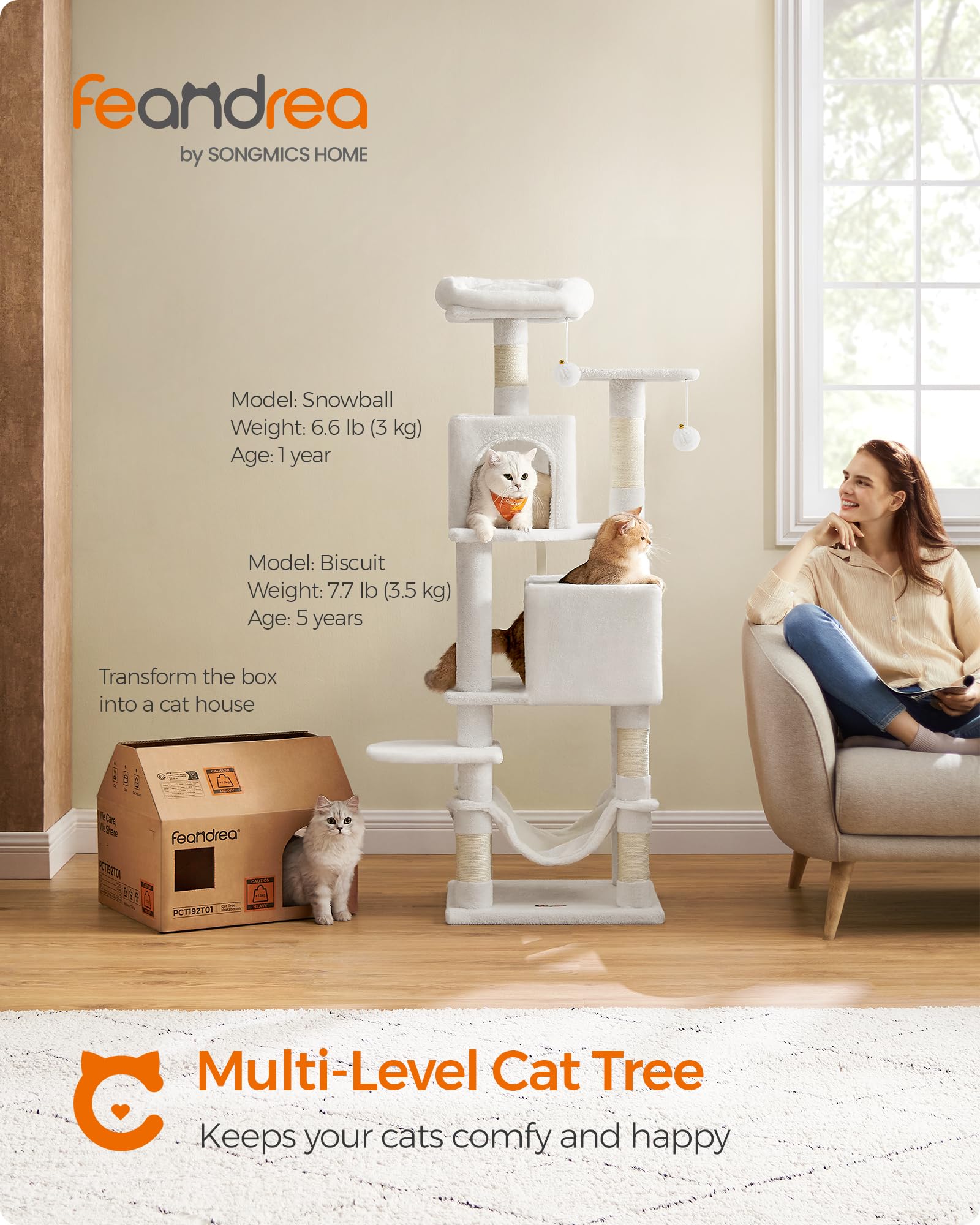 Feandrea top perch offering elevated lounging and room surveying.